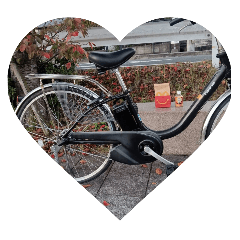 gorimi_20251231205528