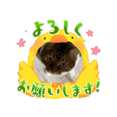 yuuki_20251231223300