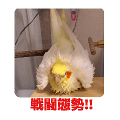 Saitama-inko_20251231211256