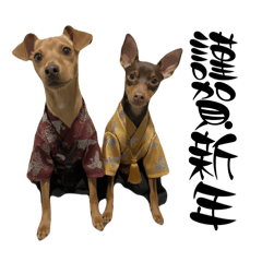 ranran_20251231221821