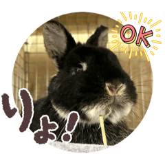 yunico_20251231232951