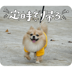 YMR MRN_20251231232731