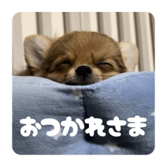 ktmama_20251231233019