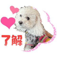 momonoonne_20251231232718