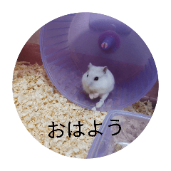 peipei_20251231232713