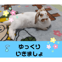 hana87_20260101082409