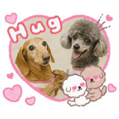 kandahal_20260101084005