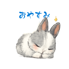 kawaii  usagi