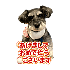 IWAGAN_20260101084245