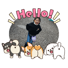 sakura_20260101084634