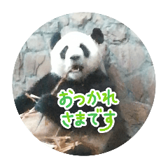 ankomochi_20260101111522