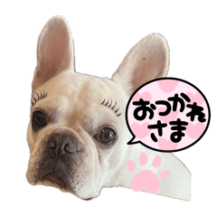 yuka_20260101133927