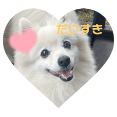 gumii_20260101135004