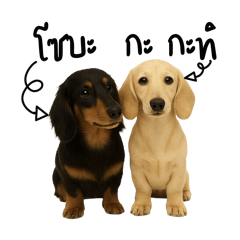 โซบะ กะ กะทิ