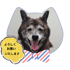 rikirikimanma_20260101125016