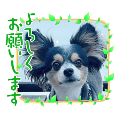 CHISATO_20260101130127