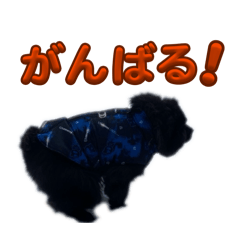 maruki_20260101125537