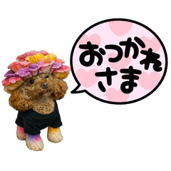 hinahina_20260101130221