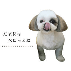 hana._20260101130449