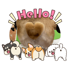 akubi_20260101125327