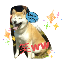 TAKERU_20260101130651