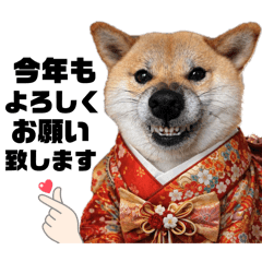 mayumin_20260101002716