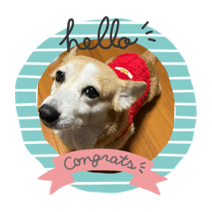 chicchi_20260101112749