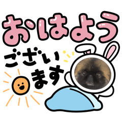 Ayaka_20260101003238