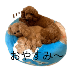 Kohei_20260101140426