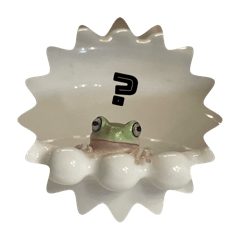 l am a frog._20260101130911