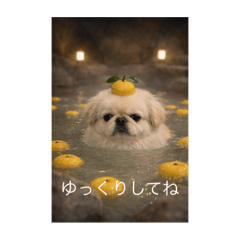 koron_20260101022727