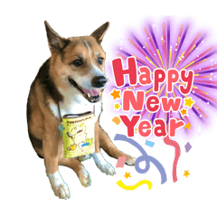 hachi_20260101022916