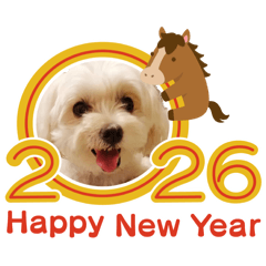 natsumi_20260101131933