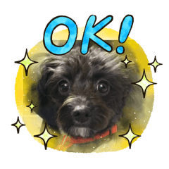 noriko_20260101131937