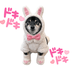 enhypenenchan_20260101132213