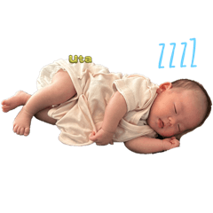 asami_20251231054458