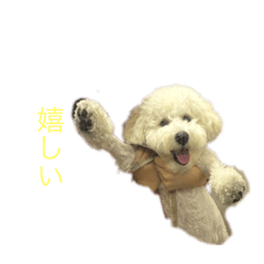 layla_20260101031352