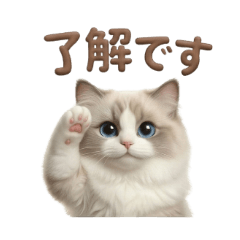 PinoNuts_20260101120321