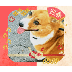 yukarin_desu_20260101121212