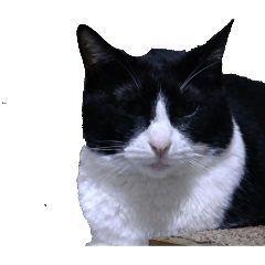 etsushi_20251231114109