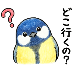 カラスと小鳥達の日常1