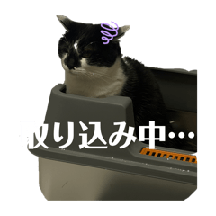 chana_20260101154720