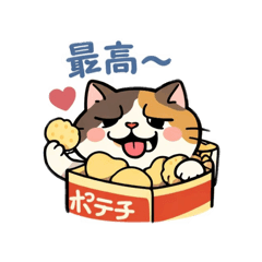 mini piggy_20260101023023