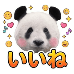 光子のパクり？パンダシリーズ３