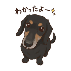 tarou_20260101125806