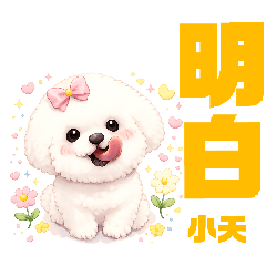 small_20251231192402