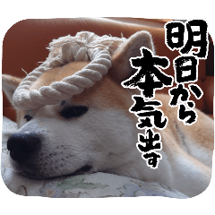 YAMASHITI_20260101143606