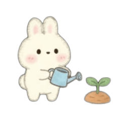 makirinbiyori_20260101144421