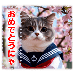書き込める♥制服着てるにゃんこ　春猫♡桜