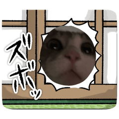 rororo_20260101174626